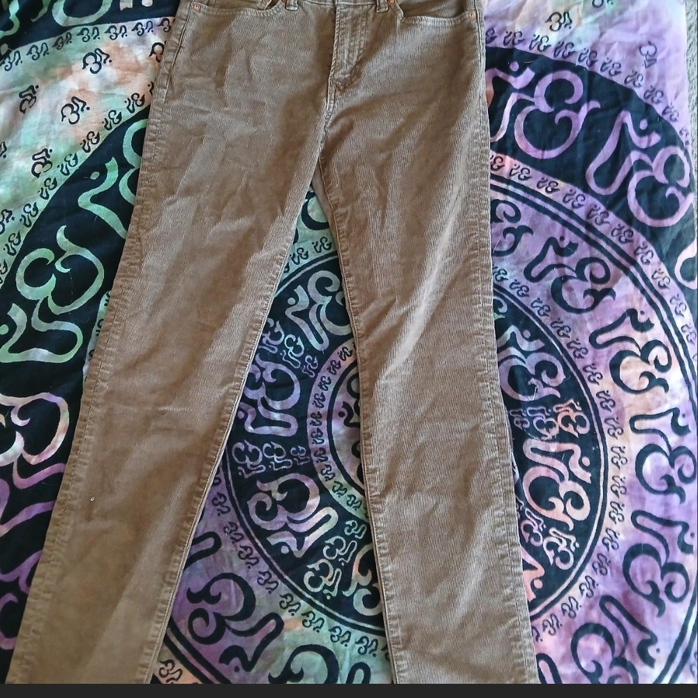 American Eagle Outfitters Brown Corduroy Trousers